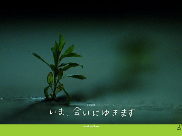 IPB Image