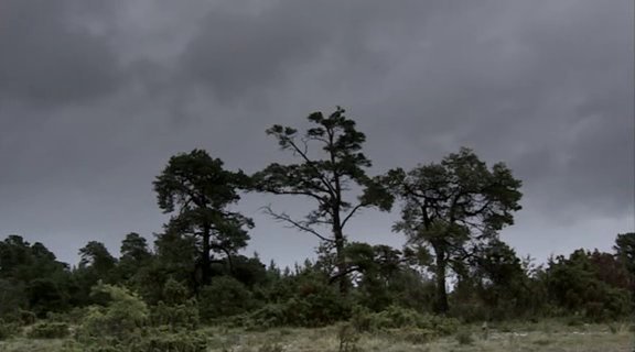 IPB Image