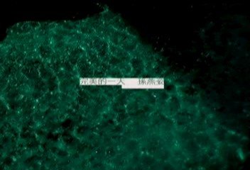 IPB Image