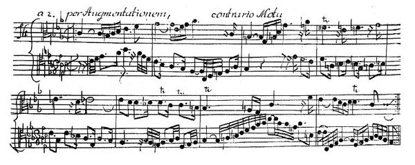 Neville Marriner -《巴赫:赋格的艺术&音乐的奉