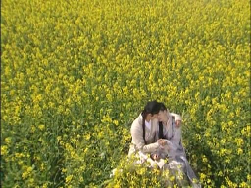 最新《<em>倩女幽魂</em>》(大S版)[40集][DVD-MKV][简