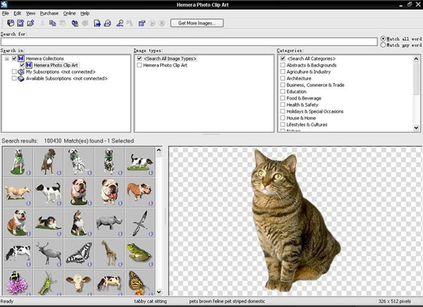 IPB Image