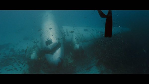 IPB Image