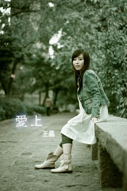 爱上王晶.jpg